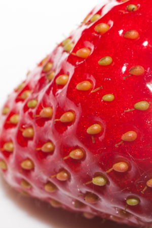 Strawberries on white background, close-up. Fresh strawberry close-up.の写真素材