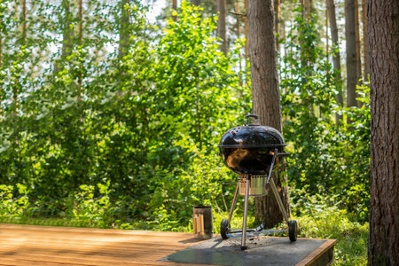 Barbecue grill in front of idyllic backyard. Outdoor party on the holiday camp.の写真素材
