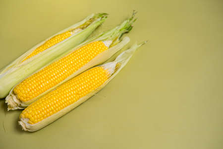 Fresh yellow corn cobs on green background. Fresh vegetables.