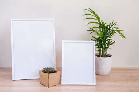 Portrait and square wooden picture frames mockups with palm and succulent.