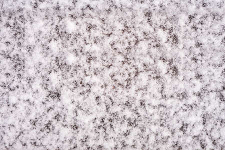 Picture of snow, frost. Cold weather, cold white nature. Great background image and miscellaneous.の写真素材