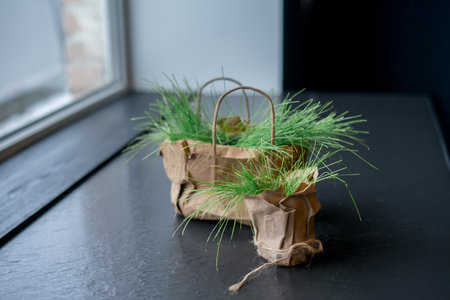Window Sill Pillow for Rest with Grass Plant Pot. Home Rest Space on Kitchen Wの写真素材