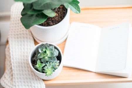 Notepad mockup on wooden table. Zamiokulkas and succulents in pots. Scandinavian interiorの写真素材