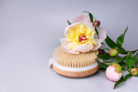 Dry massage brush with natural bristle , flowers peony, ecolodical cosmetics, home care and spaの写真素材