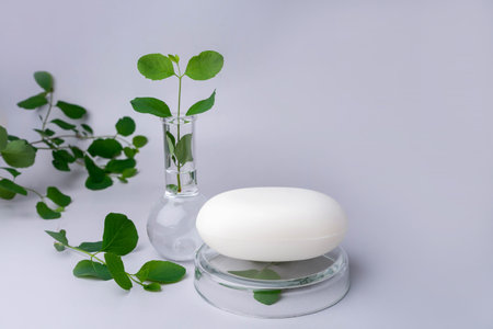 Closeup of hand made herbal soap. Green leaves. Spa concept. Skin product mockup scene. Cosmetic product.の写真素材