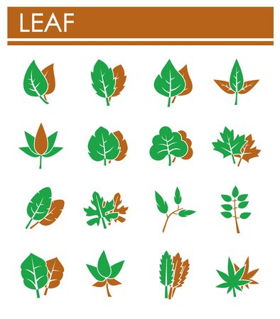 Leaf related icons set on background for graphic and web design. Creative illustration concept symbol for web or mobile app.のイラスト素材