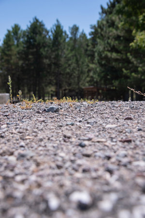 old stone road. road in the forest. cobblestone road. old road.summertimeの写真素材