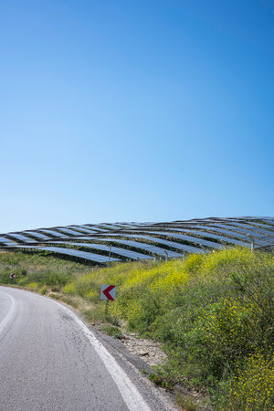 A vast solar panel array, consisting of numerous rows of photovoltaic panels, is installed on a hillside covered with green grass and yellow wildflowers.の写真素材