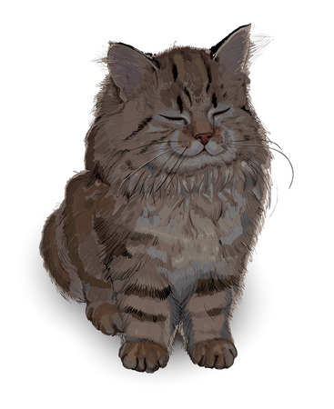 happy kitten drawingのイラスト素材