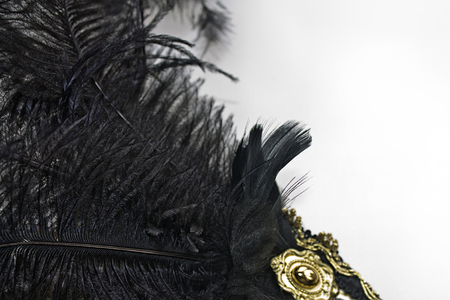 Close-up of Black feather isolated on white backgroundの写真素材