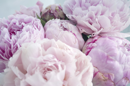 Closeup fresh bunch of pink peonies peony roses flowers,  Pastel floral wallpaper. Card, for wedding invitations set with pink peony.の写真素材