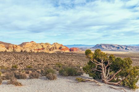 View from High Point Overlook. Red Rock Canyon National Conservation Area. Nevada. USAの写真素材