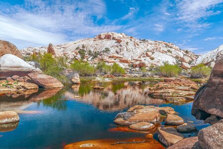 Pond at Barker or Big Horn Dam in Joshua Tree National Park. California. USAの写真素材