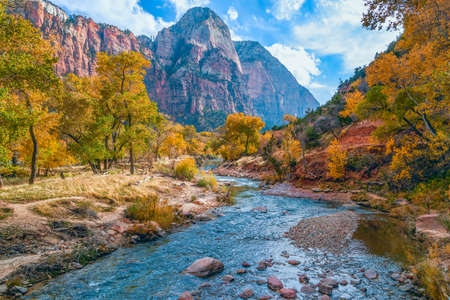 North Fork Virgin River and surrounding mountains in Zion National Park. Utah. USA