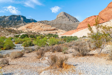 Colorful cliffs around Sandstone Quarry Trail. Red Rock Canyon National Conservation Area. Nevadaの写真素材