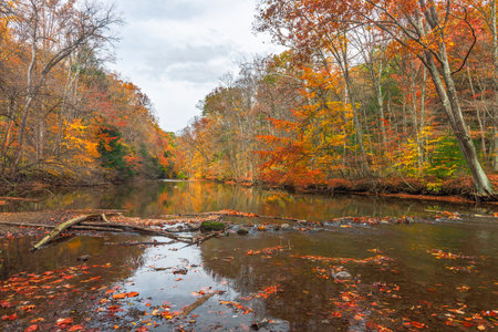 Clear Fork Branch of the Mohican River in autumn.  Mohican State Park. Perrysville. Ohio. USA