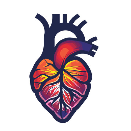 Human heart vector illustration isolated on white background. Human heart icon.のイラスト素材