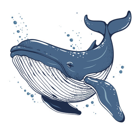 Whale vector illustration. Hand drawn whale isolated on white background.のイラスト素材