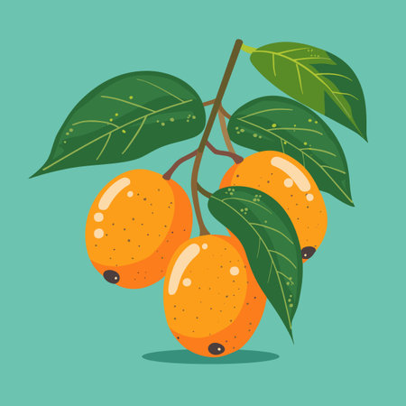 Loquat fruit on the branch. Vector illustration in flat styleのイラスト素材