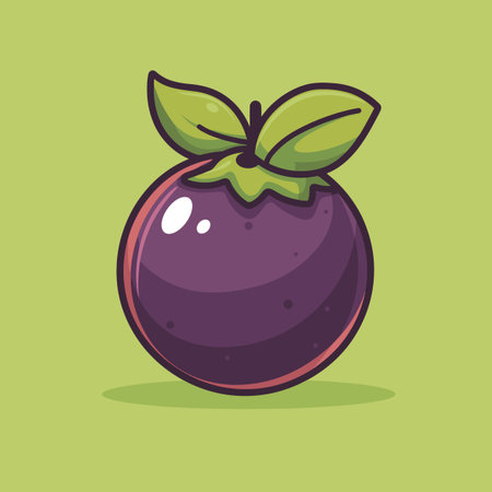 mangosteen fruit design, vector illustration eps10 graphicのイラスト素材