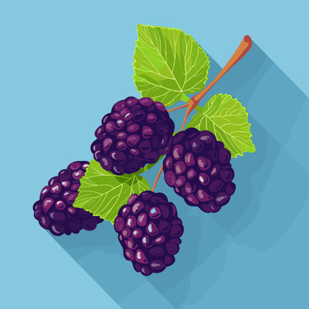 Ripe blackberry fruits with leaves. Vector illustration in flat styleのイラスト素材
