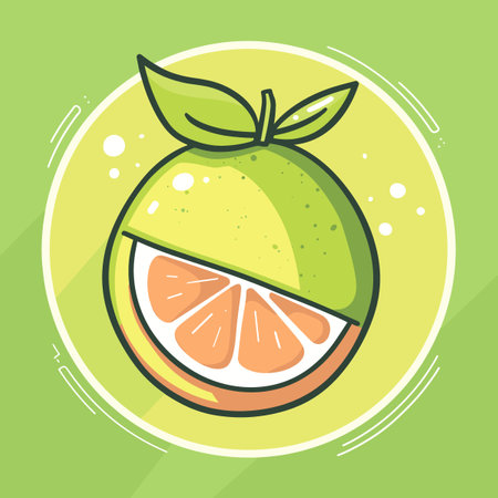Citrus fruit design over green background, vector illustration graphic.のイラスト素材