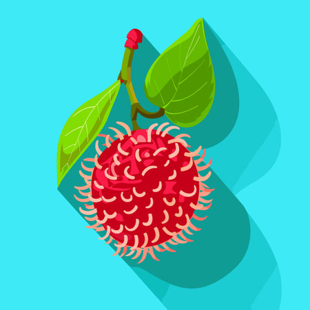 Rambutan fruit vector illustration. Ripe red rambutan on a blue background.のイラスト素材