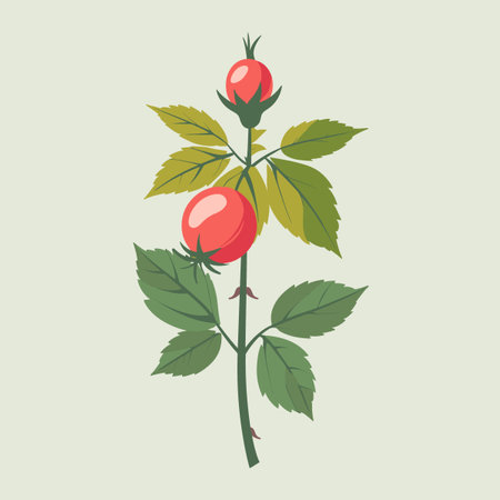Rosehip branch with berries and leaves. Vector illustration in flat style.のイラスト素材