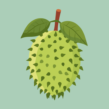A green fruit soursop with a spiky surface. The spiky surface is covered in small bumps. The fruit is surrounded by a leafのイラスト素材
