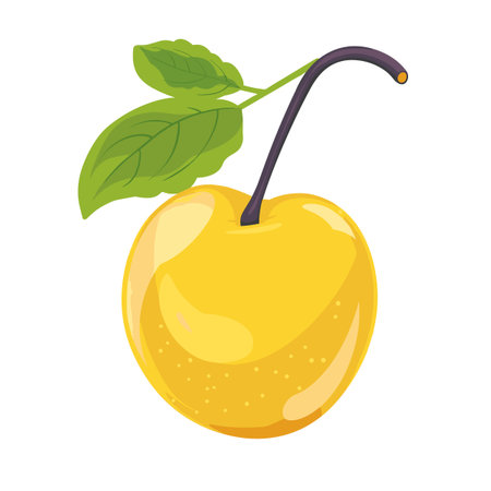 A Yellow plum with a green leaf on top. The Yellow plum is ripe and ready to eat. The leaf is green and adds a pop of color to the imageのイラスト素材