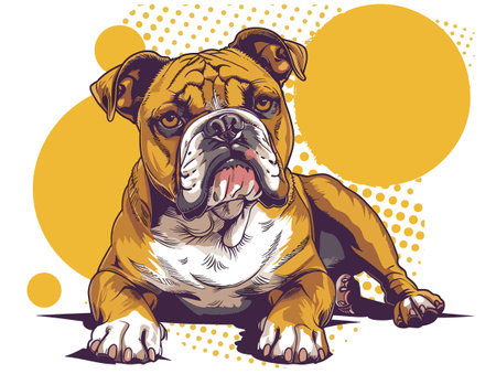 Bulldog. Vector illustration of a dog on a yellow background.のイラスト素材