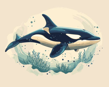 Vector illustration of a killer whale in the ocean. Hand drawn style.のイラスト素材