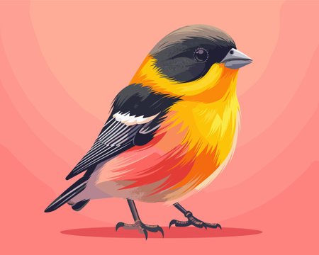 Bullfinch bird vector illustration. Bullfinch, bullfinch, bullfinch, bullfinch, bullfinch.のイラスト素材