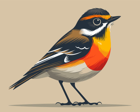 Finch bird. Vector illustration of a bird in cartoon style.のイラスト素材