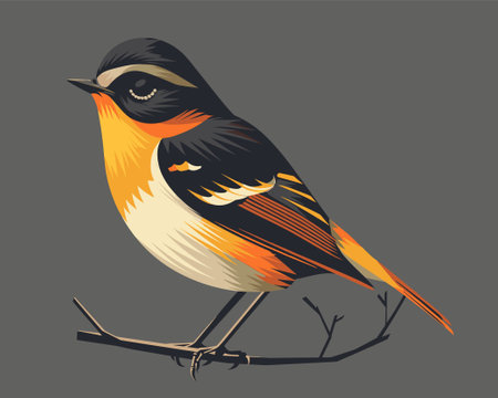 Redstart bird on a branch. Vector illustration in cartoon style.