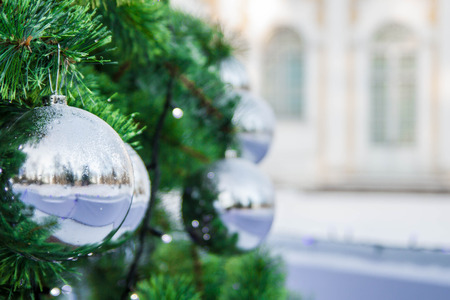 Christmas tree in the Parkの写真素材