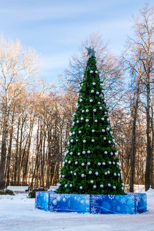 Christmas tree in the Parkの写真素材