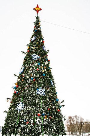 Christmas treeの写真素材