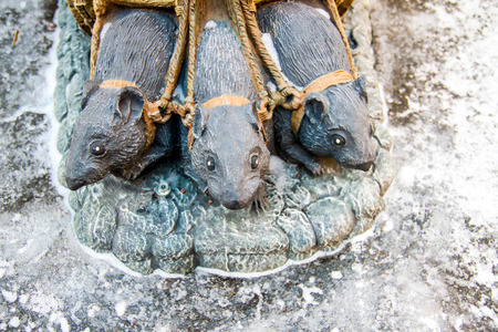 mouseの写真素材