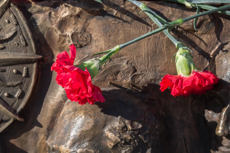 Laying red carnations at the monumentの写真素材