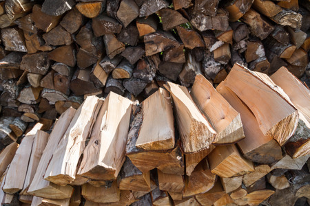 Dry logs stacked in a pile in the garden