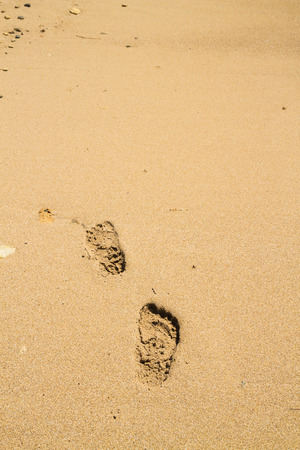 Footprints in the sand beach near the seaの写真素材