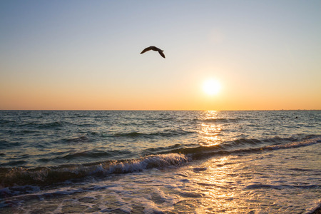 Beautiful sunset on the black seaの写真素材