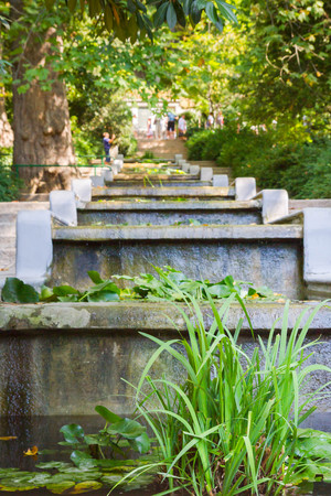Yalta, Crimea, Russia, September 3, 2015. The Nikitsky Botanical garden in Yaltaの写真素材