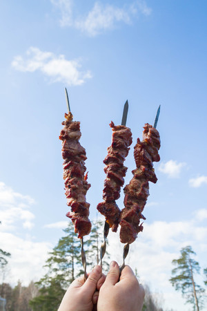 Cooked pork barbecue on skewersの写真素材
