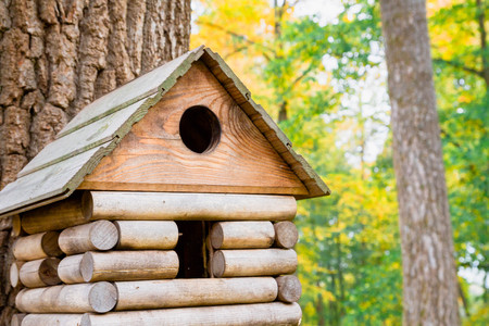 Wooden birdhouse in a beautiful autumn Parkの写真素材