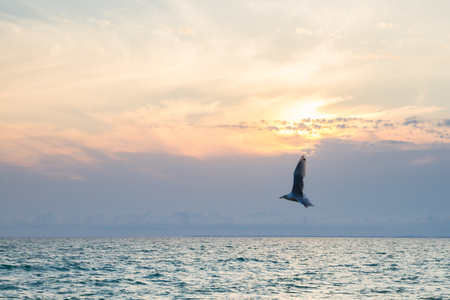 Beautiful sunset on the black seaの写真素材