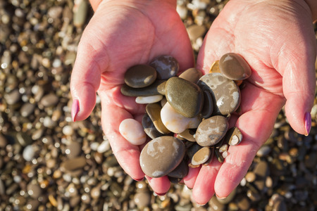 Sea stones in hands on the beach in the summerの写真素材