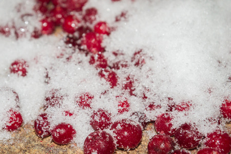 Cold frozen red berry cranberries on the tableの写真素材