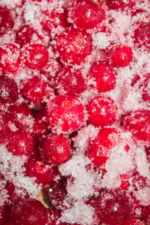 Cold frozen red berry cranberries on the tableの写真素材